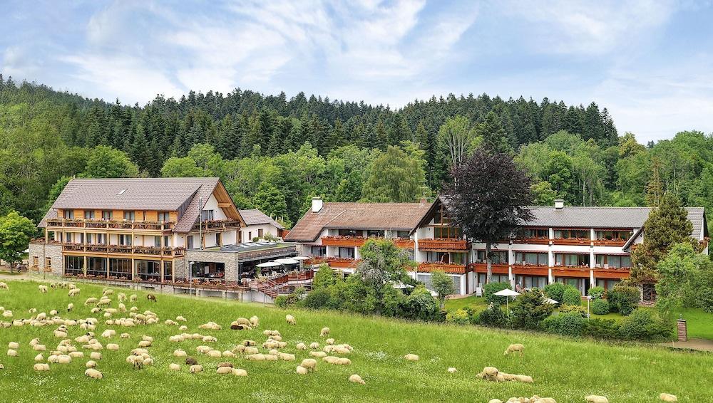 Hotel Gruener Wald Freudenstadt Exteriér fotografie