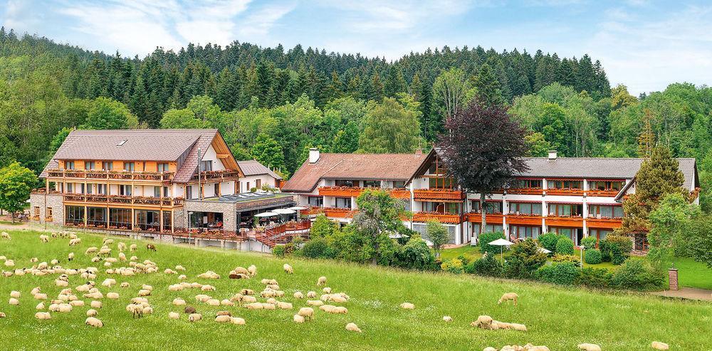 Hotel Gruener Wald Freudenstadt Exteriér fotografie