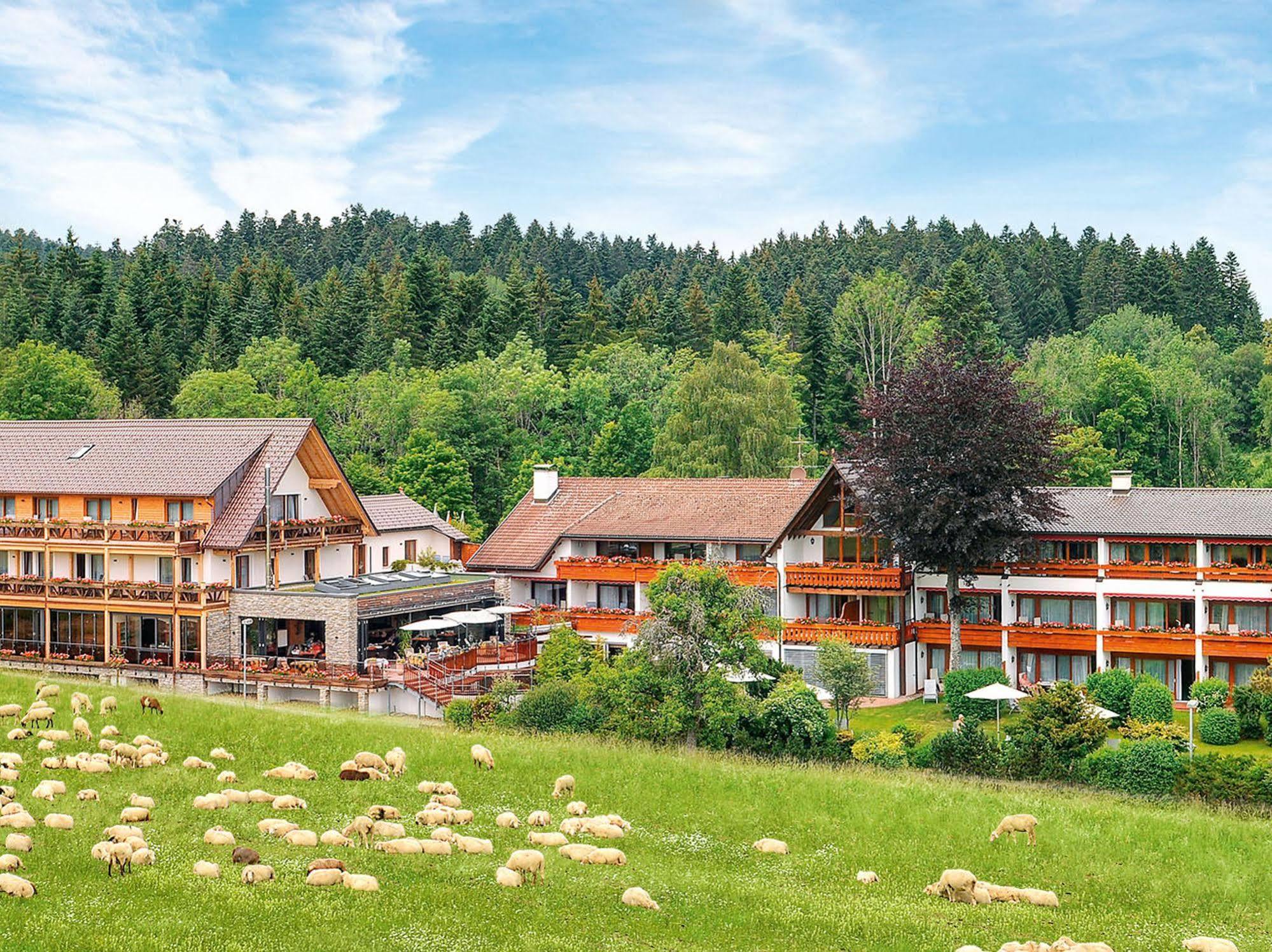 Hotel Gruener Wald Freudenstadt Exteriér fotografie